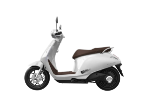 Xe Máy Điện VinFast Evo 200